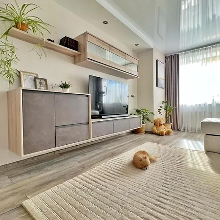 Comfort In Center With Separate דירה